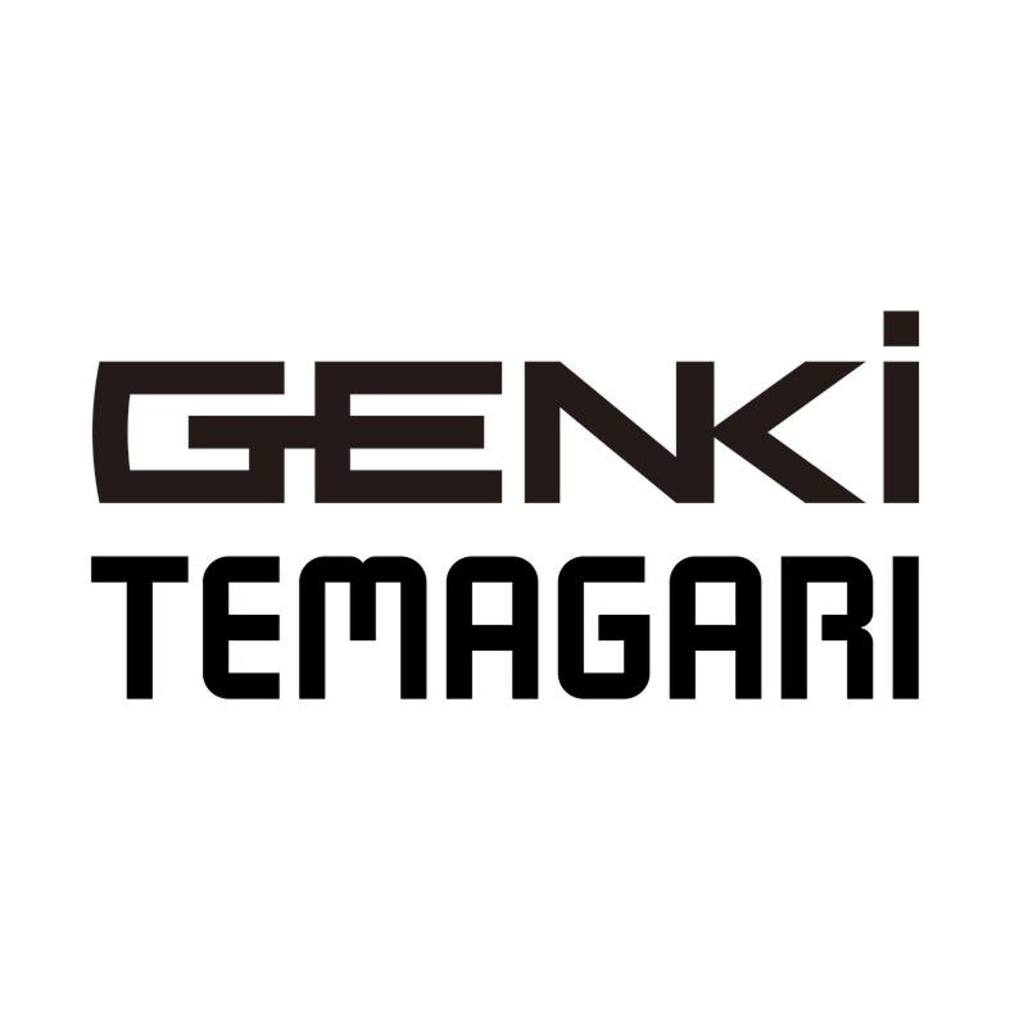 Silky Genki Temagari 500 mm Japansäge – aggressivste & schnellste Silky-Säge mit grober Mirai-Me Verzahnung (3–5 Z/30 mm), ergonomischem Genki-Griff, handgefertigt, inkl. Tasche, für frisches Holz