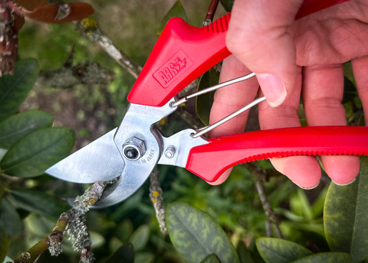Cut360 Kleine Gartenschere, Rosenschere für Zweigdurchmesser bis Ø 22 mm, Kleine Gartenschere perfekt ausbalanciert