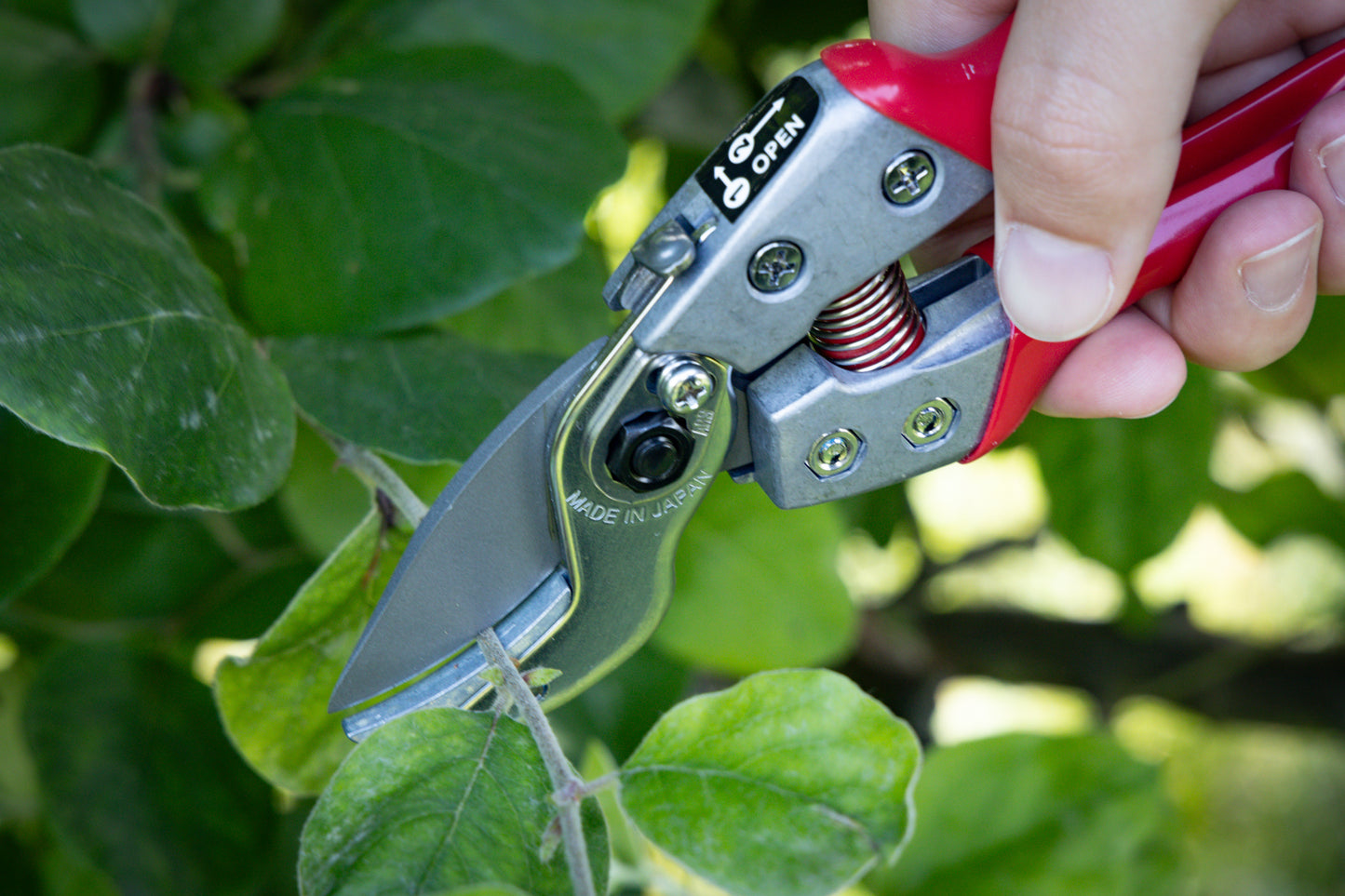 ARS Profi Gartenschere Amboß VA-7Z