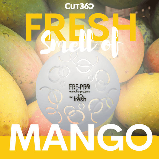 Cut360 Easy Fresh Raumduft Mango für große Räume, 12 Stk., 30 Tage Frischewirkung, Hochkonzentrierter Lufterfrischer in weiß für passendem elektrischen Duftspender