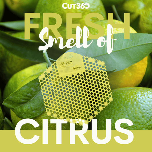 Cut360 Fresh Wave 3D der WC Duft für Pissoir, 2 Stk, nachhaltiger und langanhaltender Toiletten-Duft Citrus mit verbessertem Spritzschutz, stillvoller Urinaleinsatz