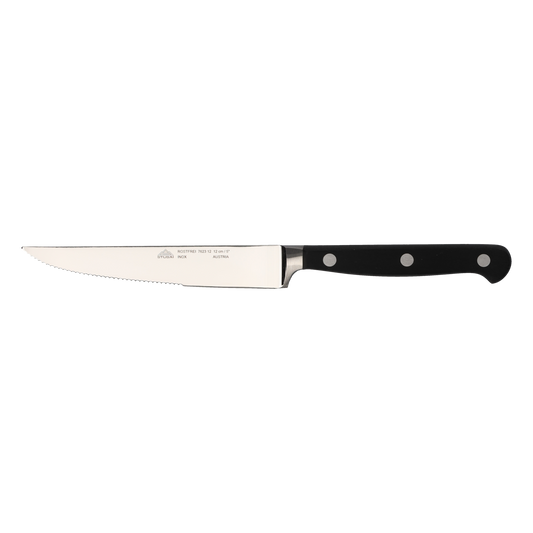 STUBAI hochwertiges poliertes Steakmesser | 120 mm | Küchenmesser zum Schneiden von Steaks, Braten und Fleischgerichte, spülmaschinenfest