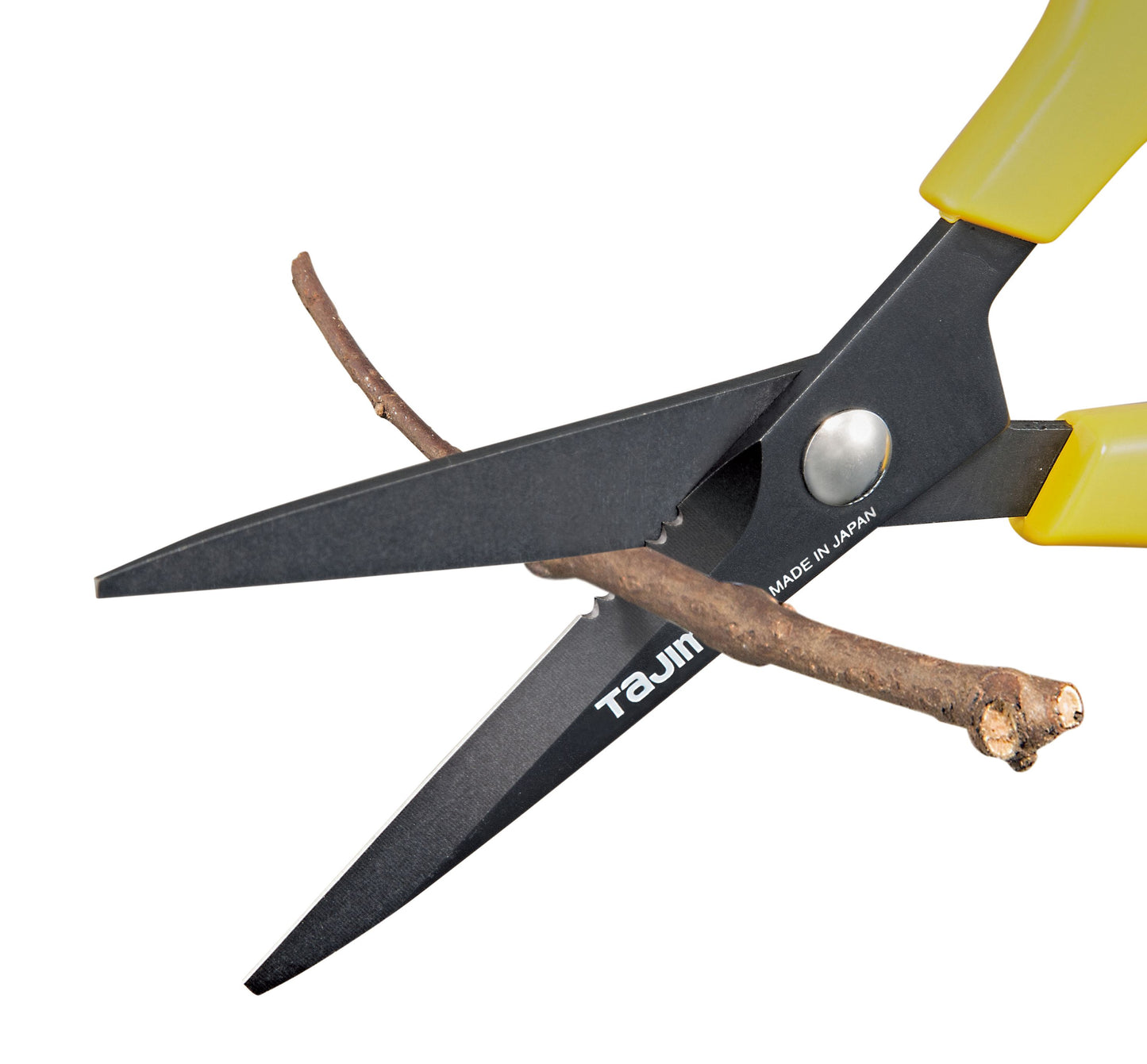 Tajima Präzisionsschere 210 mm
