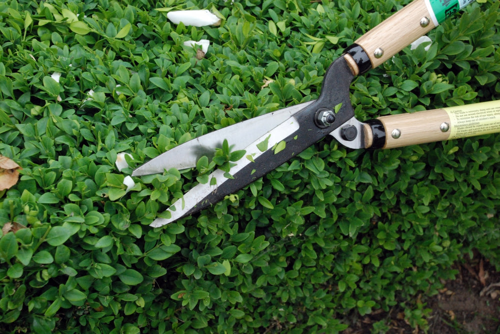 Okatsune 216 Heckenschere kurz – 515 mm | 300 mm Griff | 145 mm Klinge | 740 g