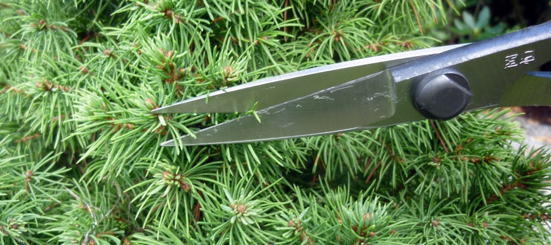 Okatsune 206 Bonsai-Schere – 220 mm | 55 mm Klinge | Ultraleicht 175 g | Präzisions-Gartenschere