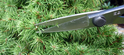 Okatsune 206 Bonsai-Schere – 220 mm | 55 mm Klinge | Ultraleicht 175 g | Präzisions-Gartenschere