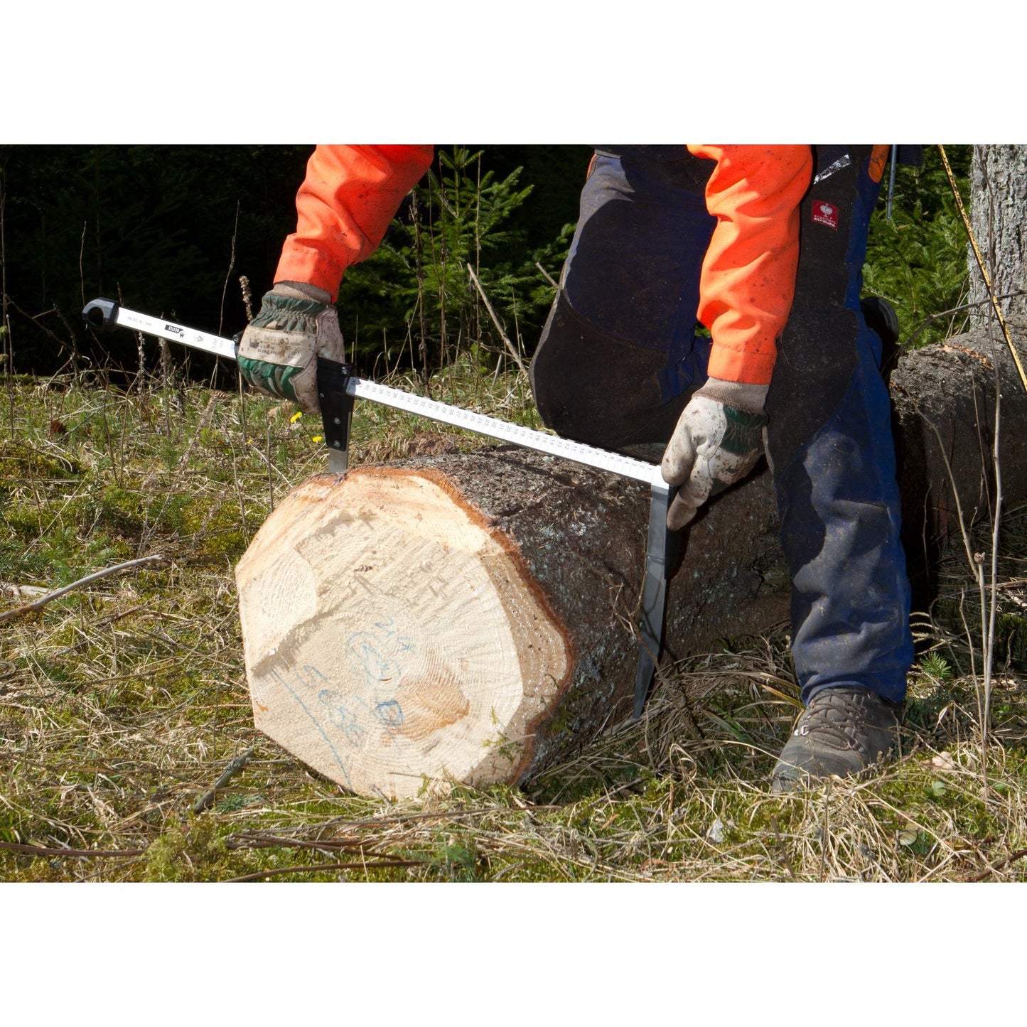 NESTLE Messkluppe Waldfreund 80 cm