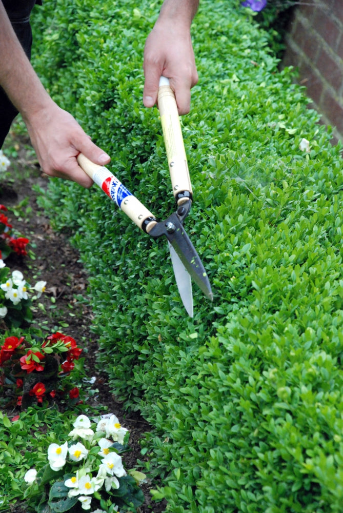 Okatsune 217 Heckenschere – Profi-Gartenschere aus Izumo Yasugi-Stahl | 535 mm
