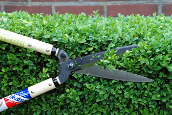 Okatsune 217 Heckenschere – Profi-Gartenschere aus Izumo Yasugi-Stahl | 535 mm