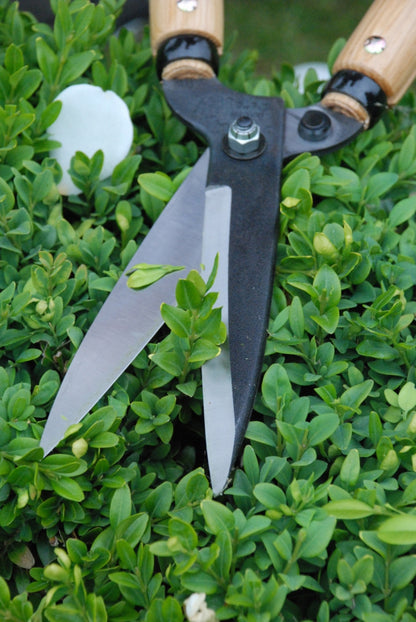 Okatsune 204 Karikomi-Heckenschere – 665 mm | Mittelgroßer Griff | 145 mm Klinge