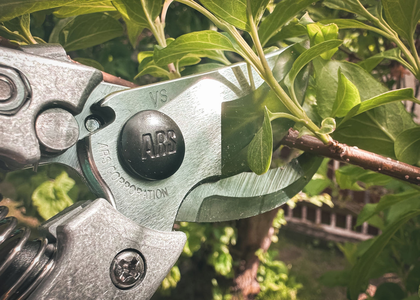 ARS Profi-Gartenschere VS-8XZ |  rasiermesserscharfer Klinge | Einhandverriegelung | gummierte Griffe | Klinge austauschbar