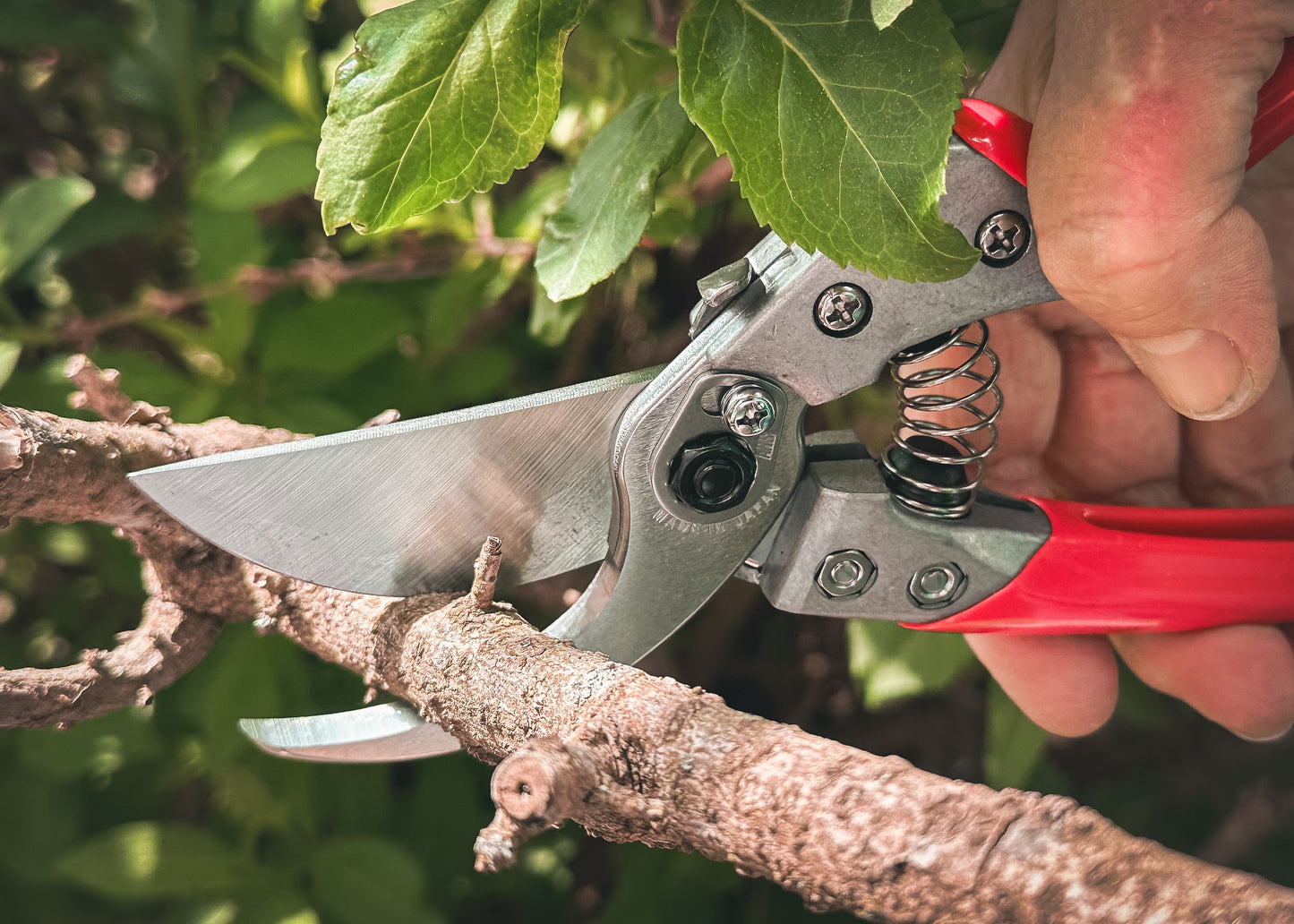 Cut360 Profi-Gartenschere für Astdurchmesser bis Ø 19 mm, Kleine Gartenschere perfekt ausbalanciert inkl. Einhandverriegelung