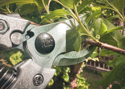 Cut360 Reben-& Gartenschere mit ergonomischem Rollgriff für Astdurchmesser bis Ø 19 mm, Kleine Gartenschere