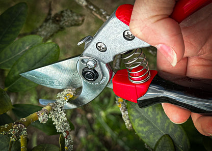 Cut360 Reben-& Gartenschere mit ergonomischem Rollgriff für Astdurchmesser bis Ø 22 mm, Kleine Gartenschere