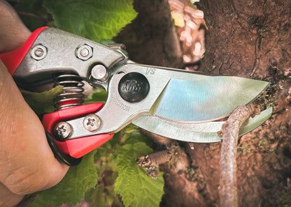 Cut360 Reben-& Gartenschere mit ergonomischem Rollgriff für Astdurchmesser bis Ø 19 mm, Kleine Gartenschere