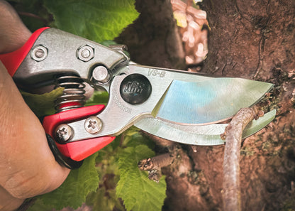 Cut360 Reben-& Gartenschere mit ergonomischem Rollgriff für Astdurchmesser bis Ø 22 mm, Kleine Gartenschere