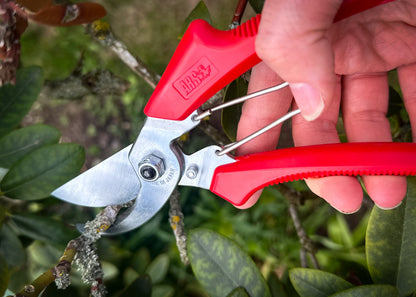 Cut360 Kleine Gartenschere, Rosenschere für Zweigdurchmesser bis Ø 22 mm, Kleine Gartenschere perfekt ausbalanciert