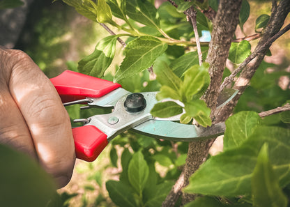 Cut360 Kleine Gartenschere, Rosenschere für Zweigdurchmesser bis Ø 22 mm, Kleine Gartenschere perfekt ausbalanciert