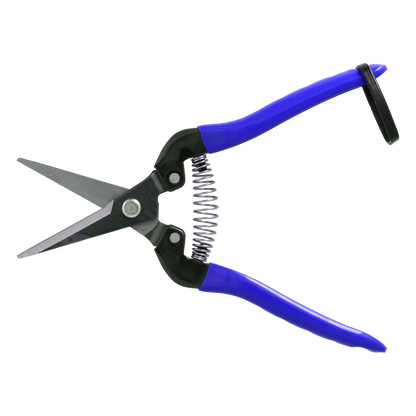 Cut360 Ernteschere, filigrane Obstschere, Gartenschere mit spitzer Klinge, Minischere geeignet als Bonsaischere