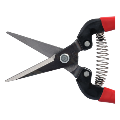 Cut360 Ernteschere, filigrane Obstschere, Gartenschere mit spitzer Klinge, Minischere geeignet als Bonsaischere