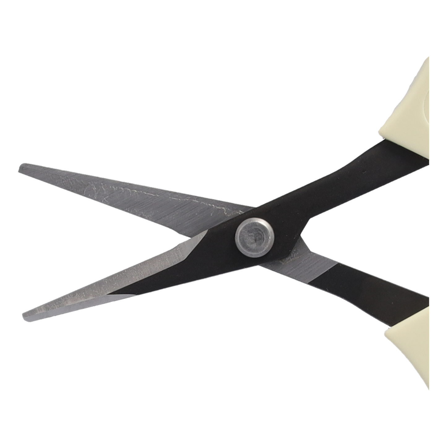 ARS 320BT Schere | Stecklingsschere  | einem unlegierten Hartstahlblatt und einer Länge von 15,5 cm ist sie ideal zum Schneiden von Stecklingen und kleinen Zweigen.