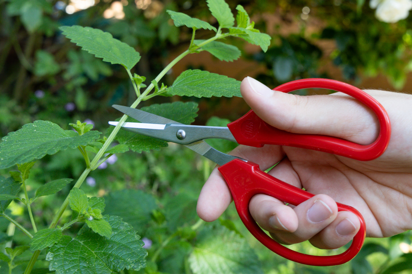 Cut360 Küchenschere, handliche und leichte Haushaltschere, Schere mit ergonomischem Griff für ermüdungsfreies Arbeiten