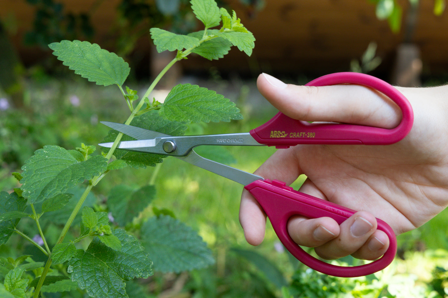 Cut360 Küchenschere, handliche und leichte Haushaltschere, Schere mit ergonomischem Griff und rostfreiem Stahl für ermüdungsfreies Arbeiten