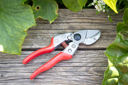 Cut360 Profi-Pflanzenschere für Astdurchmesser bis Ø 22 mm, Kleine Gartenschere perfekt ausbalanciert inkl. Einhandverriegelung