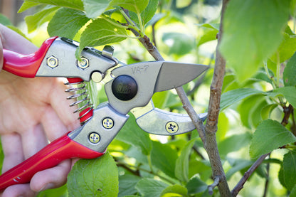 Cut360 Profi-Pflanzenschere für Astdurchmesser bis Ø 22 mm, Kleine Gartenschere perfekt ausbalanciert inkl. Einhandverriegelung