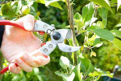Cut360 Profi-Pflanzenschere für Astdurchmesser bis Ø 22 mm, Kleine Gartenschere perfekt ausbalanciert inkl. Einhandverriegelung
