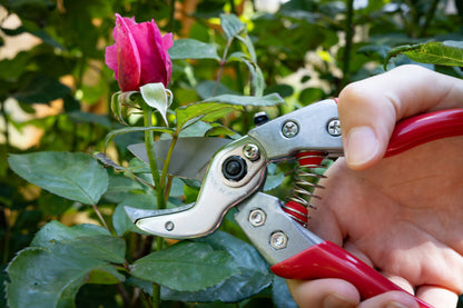 Cut360 Profi-Pflanzenschere für Astdurchmesser bis Ø 22 mm, Kleine Gartenschere perfekt ausbalanciert inkl. Einhandverriegelung