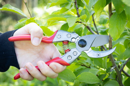 Cut360 Profi-Pflanzenschere für Astdurchmesser bis Ø 25 mm, Kleine Gartenschere perfekt ausbalanciert inkl. Einhandverriegelung