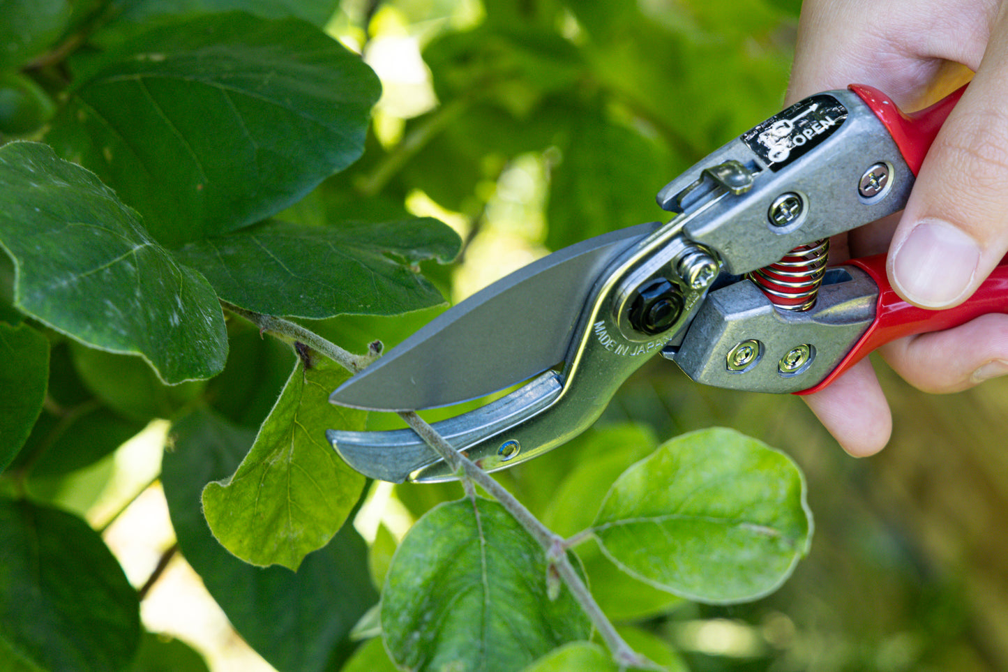 Cut360 Profi-Pflanzenschere für Astdurchmesser bis Ø 25 mm, Kleine Gartenschere perfekt ausbalanciert inkl. Einhandverriegelung