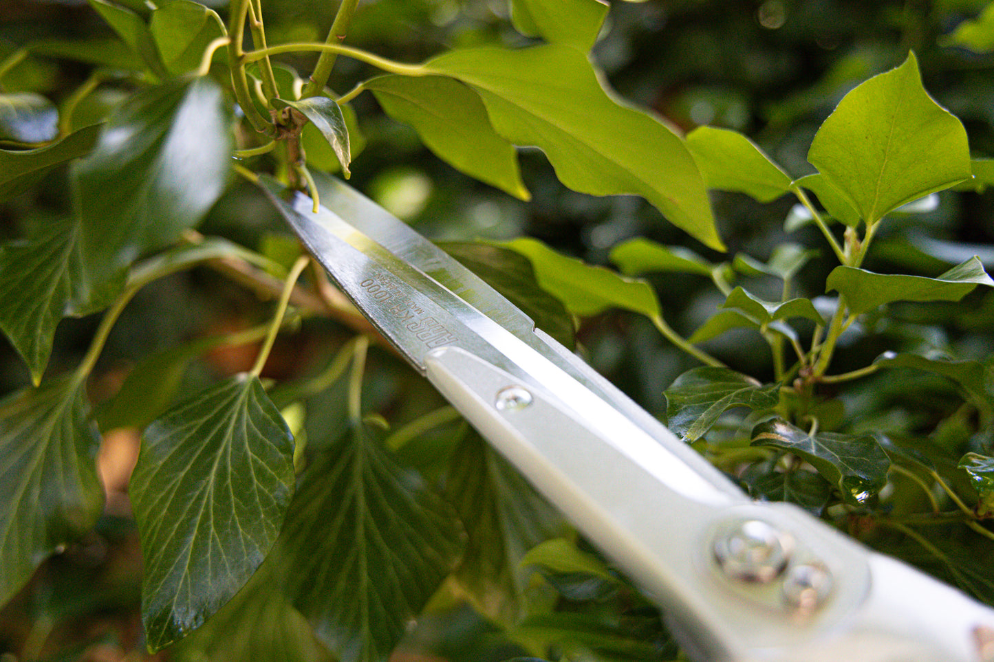 ARS-Heckenschere KR-1000 rot, 65 cm geb. Griffe, 780 g, Blattlänge 18 cm | Buxus | Hecken | Weinlaubschere | zum schneiden von Sträucher und Hecken