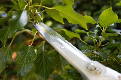 ARS-Heckenschere KR-1000 rot, 65 cm geb. Griffe, 780 g, Blattlänge 18 cm | Buxus | Hecken | Weinlaubschere | zum schneiden von Sträucher und Hecken