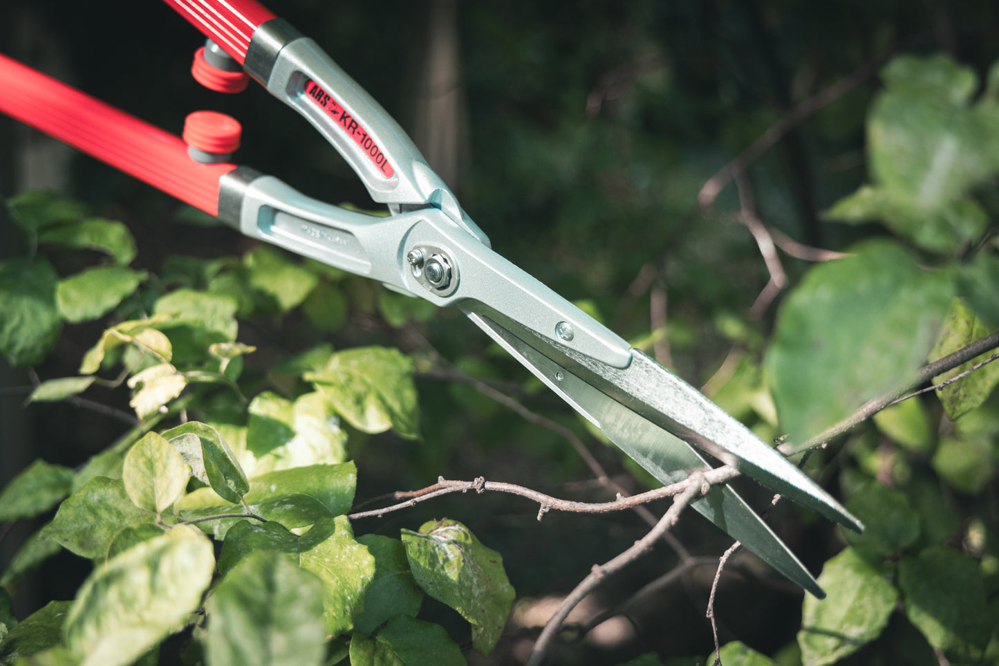 ARS-Heckenschere KR-1000 rot, 65 cm geb. Griffe, 780 g, Blattlänge 18 cm | Buxus | Hecken | Weinlaubschere | zum schneiden von Sträucher und Hecken