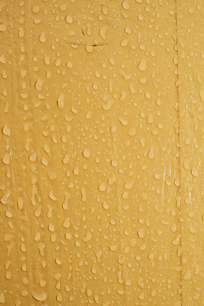 LEINOS Wetterschutzfarbe auf Wasserbasis 855 –2,50 l Maisgelb- Lösemittelfreier, matter Anstrich für unbehandelte Holzkonstruktionen im Außenbereich, ideal für sägeraues Holz