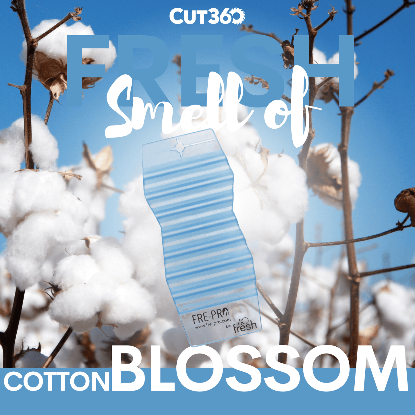 Cut360 Fresh Hang Tag Raumduft, 12 Stk, nachhaltiger und langanhaltender Lufterfrischer Cotton Blossom praktischer und intensiver Raumerfrischer