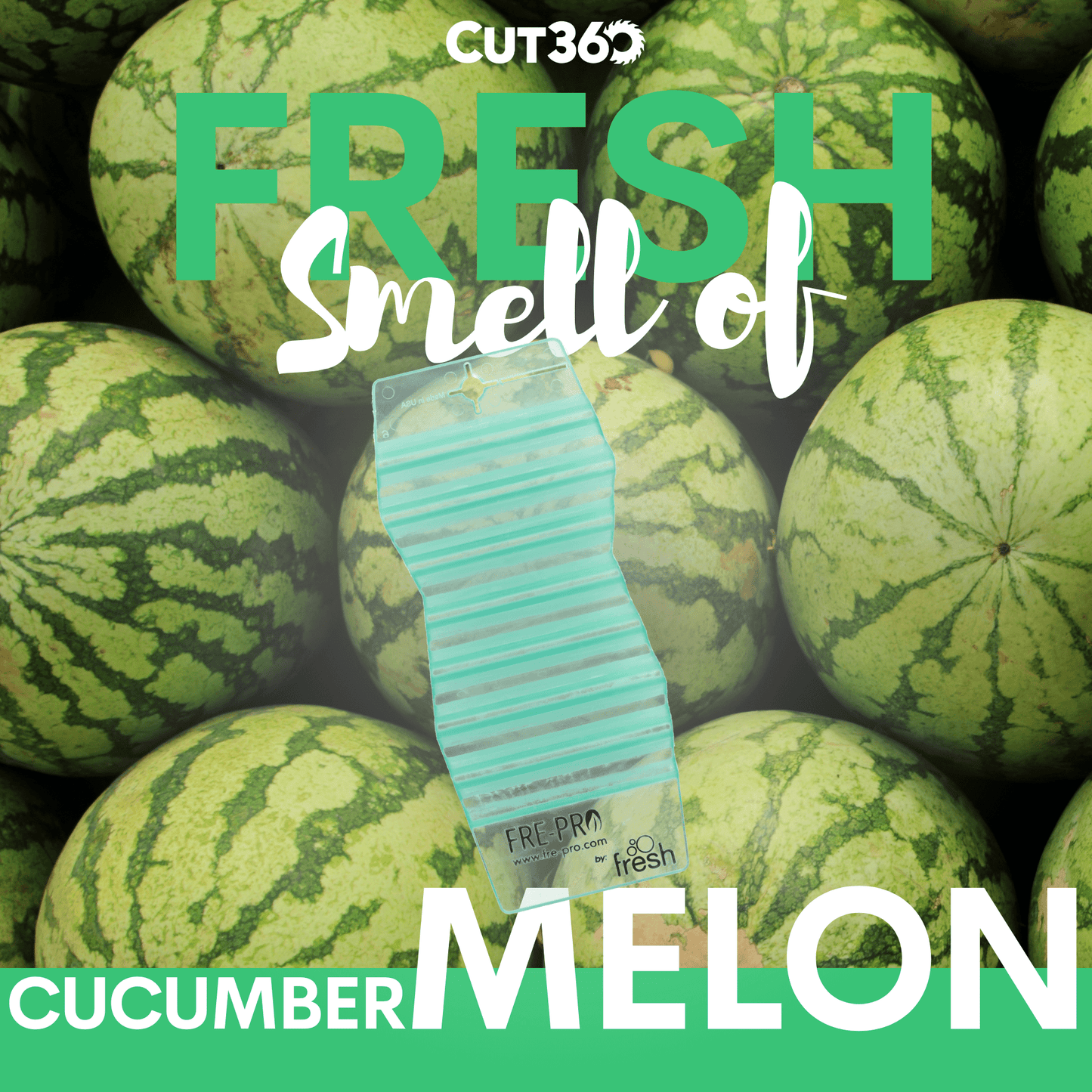 Cut360 Fresh Hang Tag Raumduft, 12 Stk, nachhaltiger und langanhaltender Lufterfrischer Cucumber Melon praktischer und intensiver Raumerfrischer