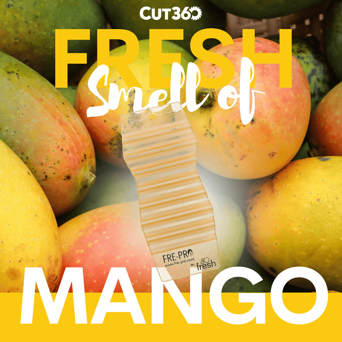 Cut360 Fresh Hang Tag Raumduft, 12 Stk, nachhaltiger und langanhaltender Lufterfrischer Mango praktischer und intensiver Raumerfrischer