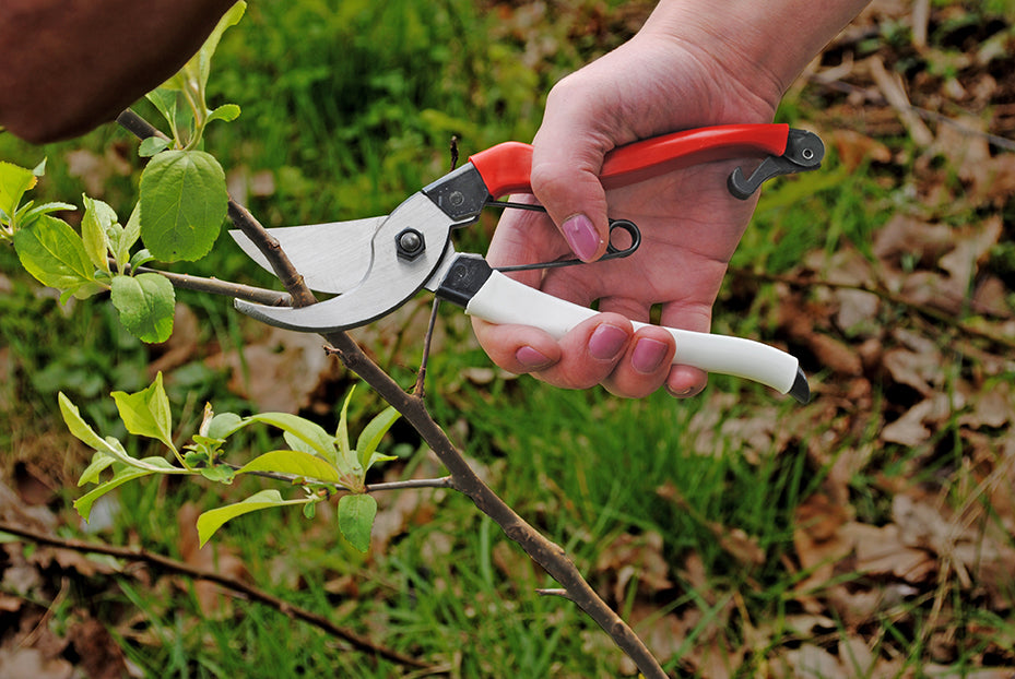 Silky Okatsune Top Gartenpflegesatz – Gartenschere Okatsune 103 & Klappsäge Silky Super Accel 210 mm | inkl. Gürtelholster