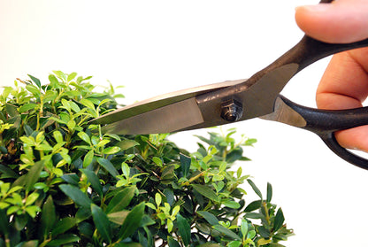 Okatsune 201 Bonsai-Schere – 210 mm | 55 mm Klinge | Gummistopfen | 250 g