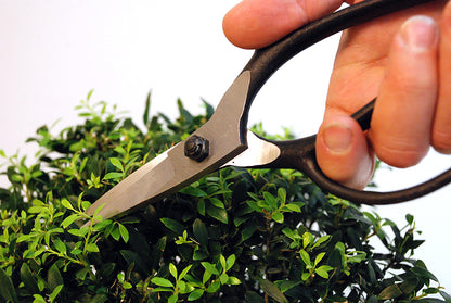 Okatsune 201 Bonsai-Schere – 210 mm | 55 mm Klinge | Gummistopfen | 250 g