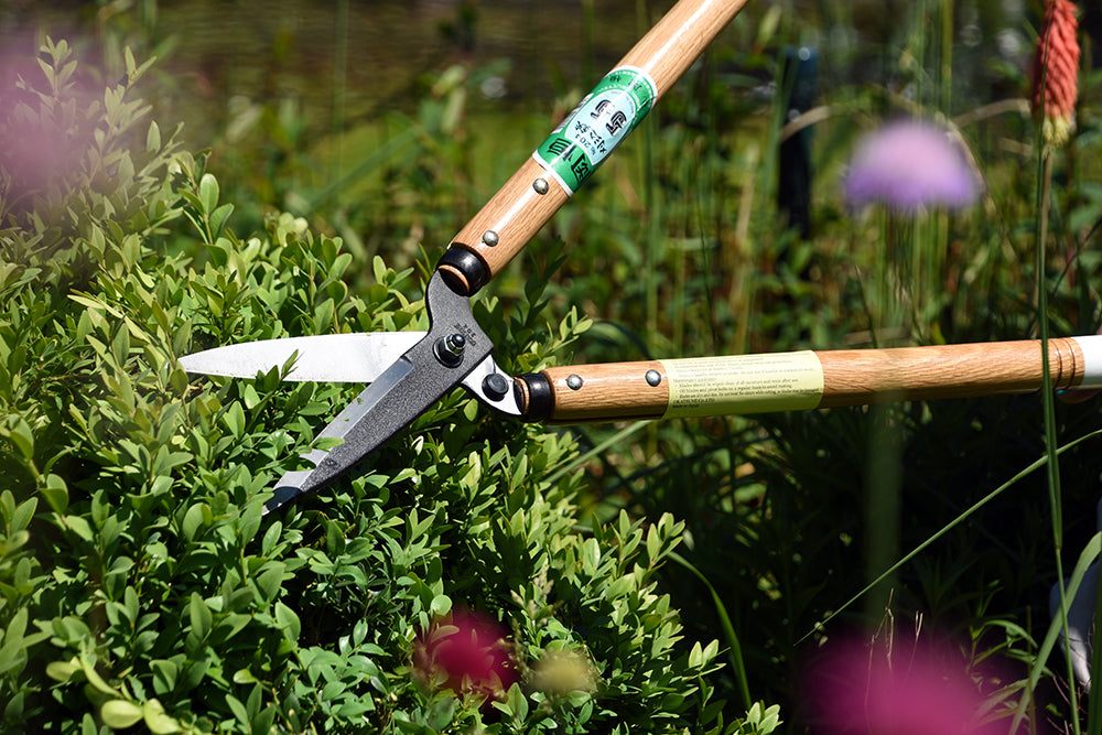 Okatsune 204 Karikomi-Heckenschere – 665 mm | Mittelgroßer Griff | 145 mm Klinge