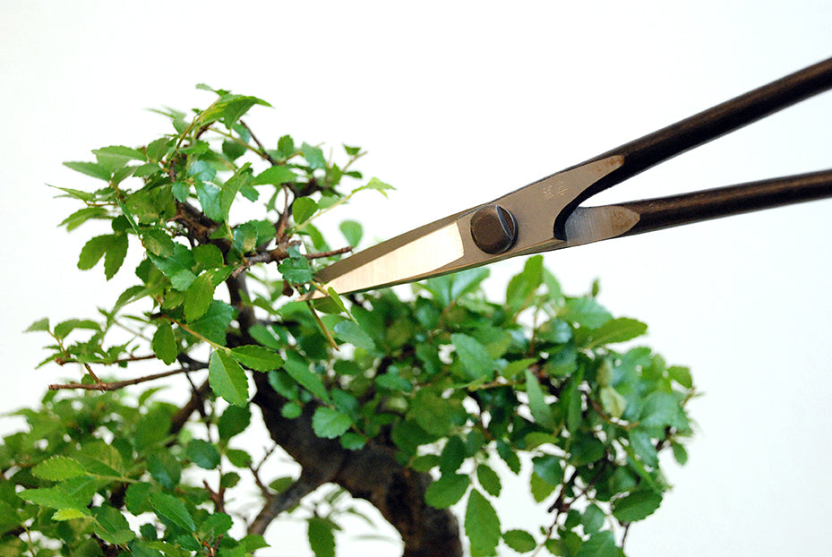 Okatsune 206 Bonsai-Schere – 220 mm | 55 mm Klinge | Ultraleicht 175 g | Präzisions-Gartenschere