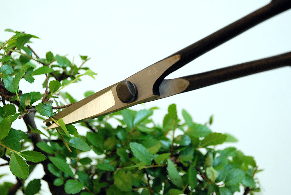 Okatsune 206 Bonsai-Schere – 220 mm | 55 mm Klinge | Ultraleicht 175 g | Präzisions-Gartenschere