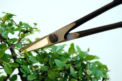Okatsune 206 Bonsai-Schere – 220 mm | 55 mm Klinge | Ultraleicht 175 g | Präzisions-Gartenschere