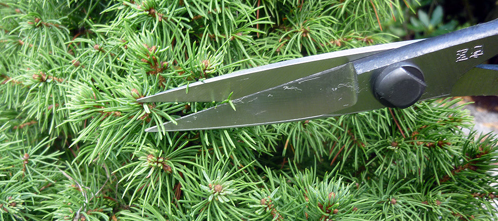 Okatsune 206 Bonsai-Schere – 220 mm | 55 mm Klinge | Ultraleicht 175 g | Präzisions-Gartenschere