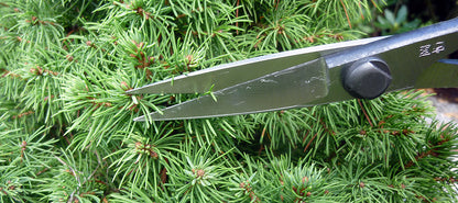 Okatsune 206 Bonsai-Schere – 220 mm | 55 mm Klinge | Ultraleicht 175 g | Präzisions-Gartenschere