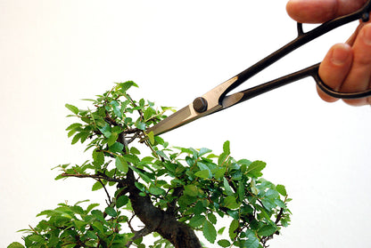 Okatsune 206 Bonsai-Schere – 220 mm | 55 mm Klinge | Ultraleicht 175 g | Präzisions-Gartenschere